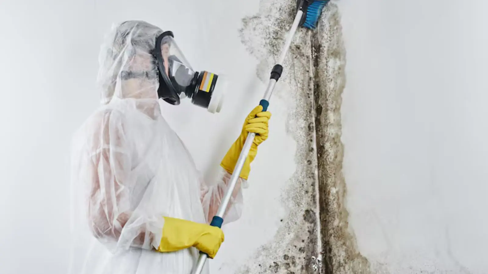 Technician in respirator and suit using a HEPA wand along a mold affected wall