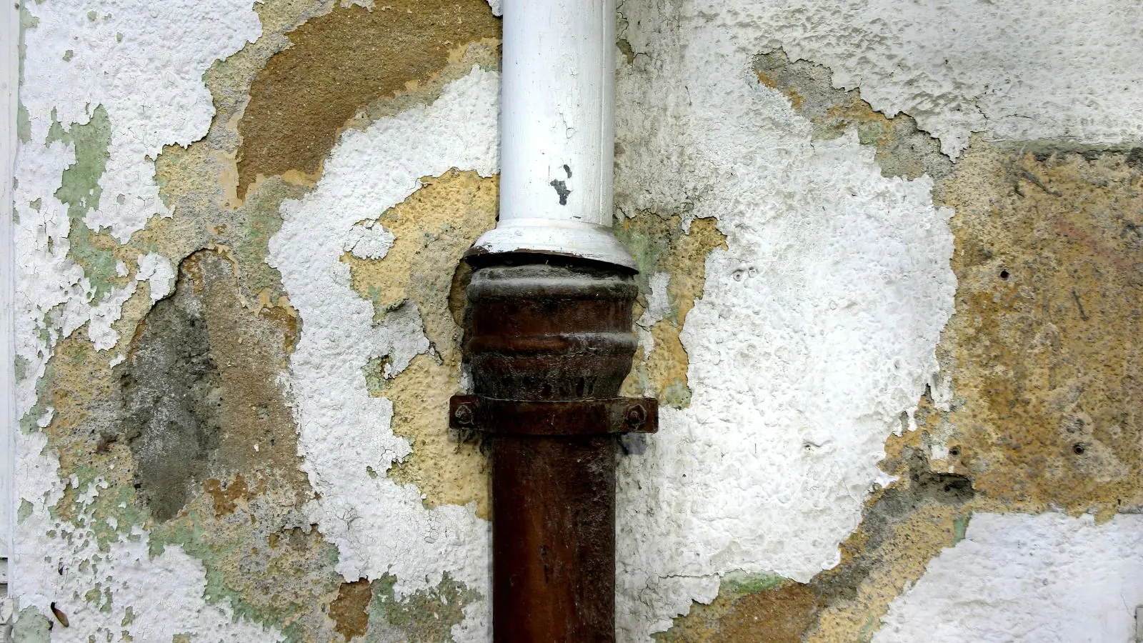 Peeling plaster and rust staining around a pipe on a water damaged wall