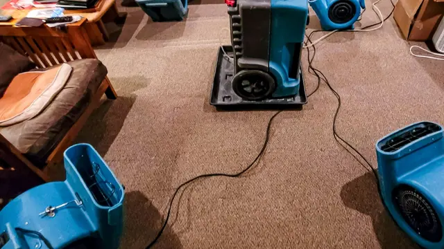 Air movers and a dehumidifier drying wet carpet in a bedroom