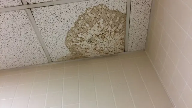 Stained ceiling tile and wall corner in a tiled room after a water leak