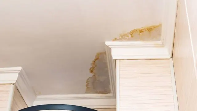 Yellow water stain spreading along the corner where a wall meets the ceiling